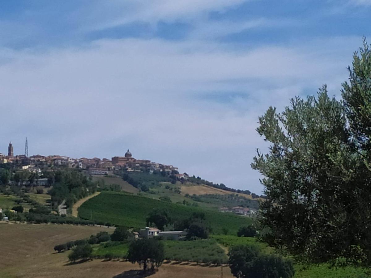 Heart Of Italy Entire Place Montepagano Eksteriør billede